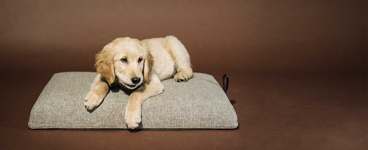 hanniko_slider_04 La sencillez hecha descanso, una cama HANNIKO. resistente, ligera y facilmente transportable.