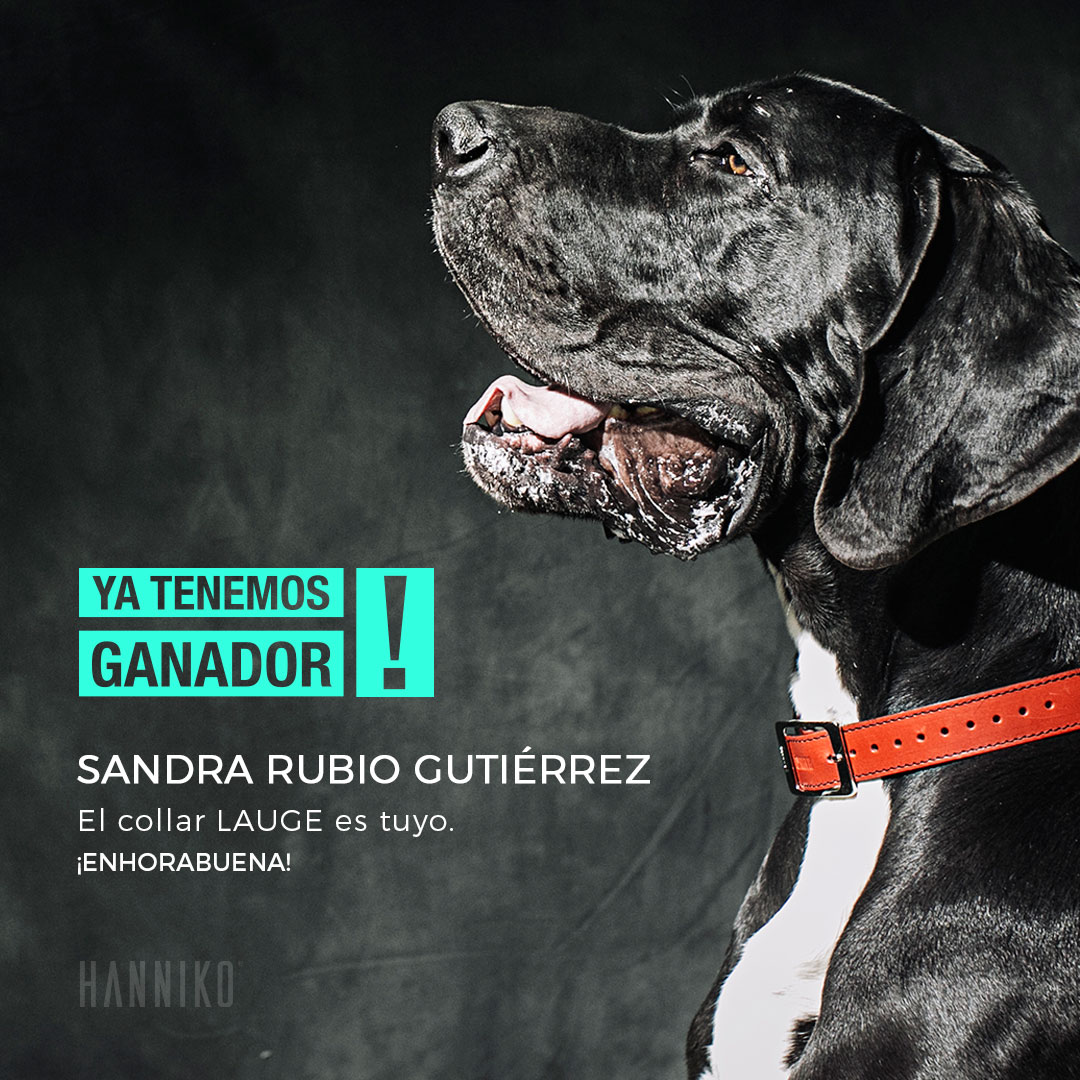 ganador del sorteo del collar para perros lauge de hanniko