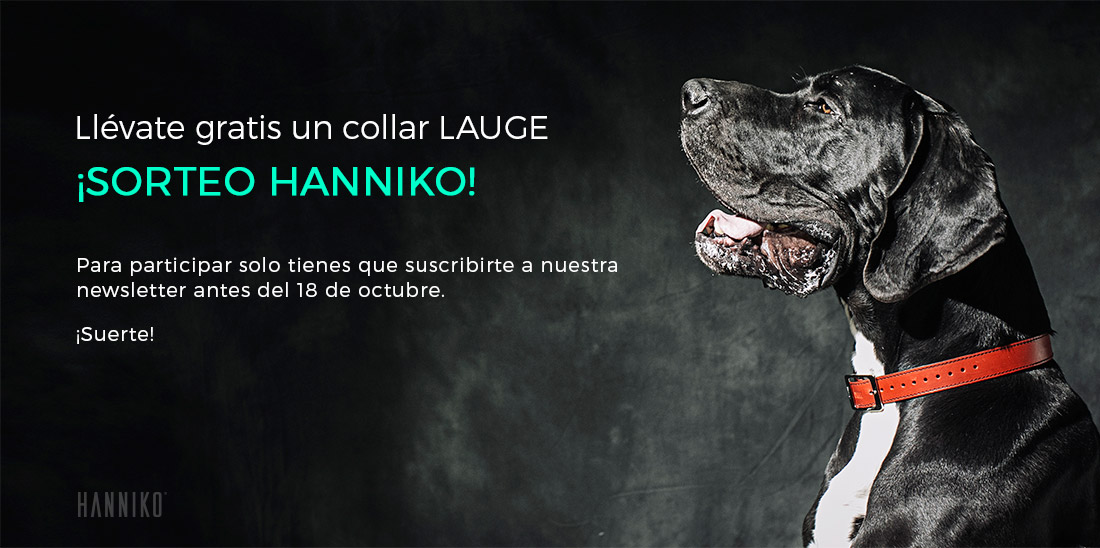 sorteo de collar lauge hanniko para perros producción hecha a mano y fabricado en europa
