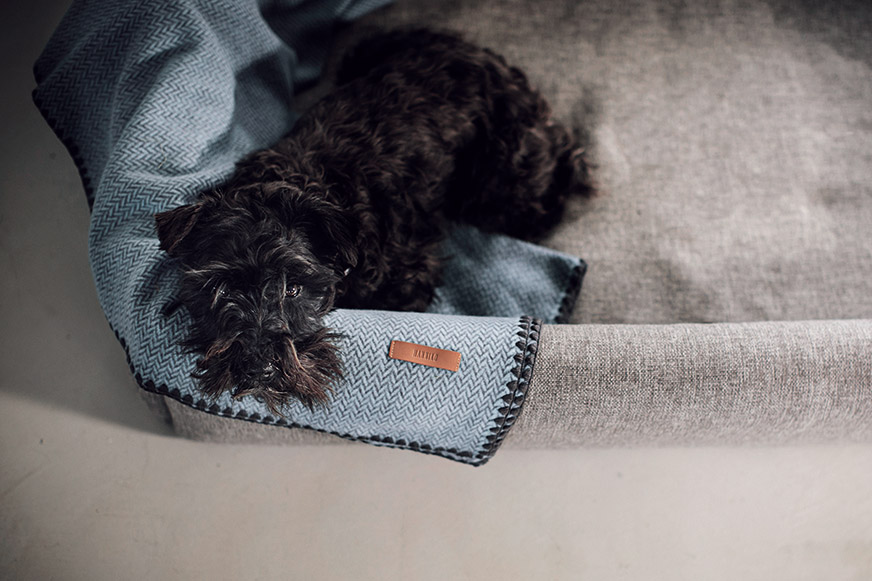 productos que se integran con naturalidad en tu forma de vida