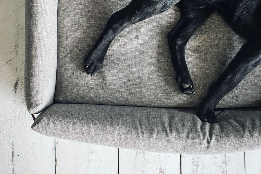 camas para perros grandes modelo Bjorn de Hanniko