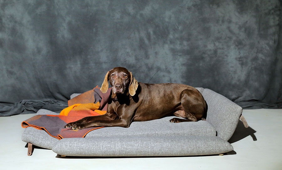 camas para perros grandes modelo Bjorn textil que se abre