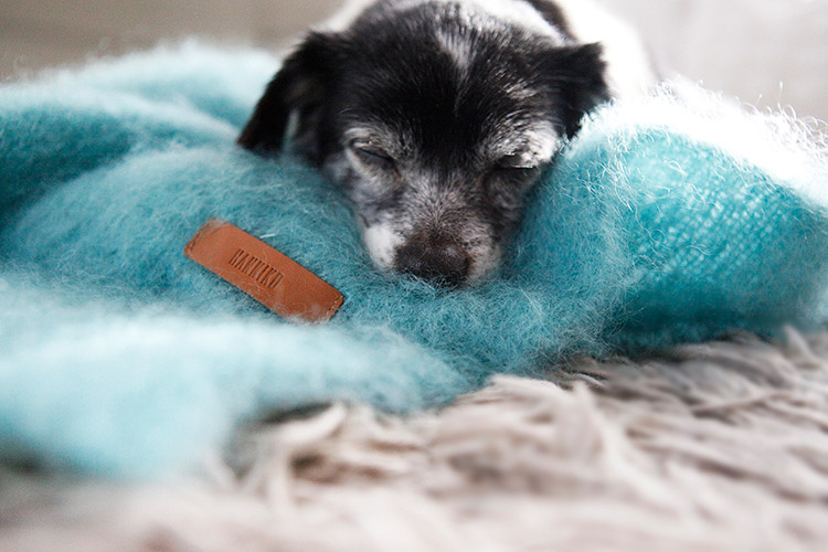 Manta para perros de HANNIKO