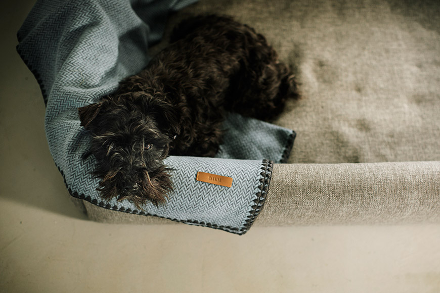 Hanniko-handmade-european-design-regalos-navidad-para-perros-cama