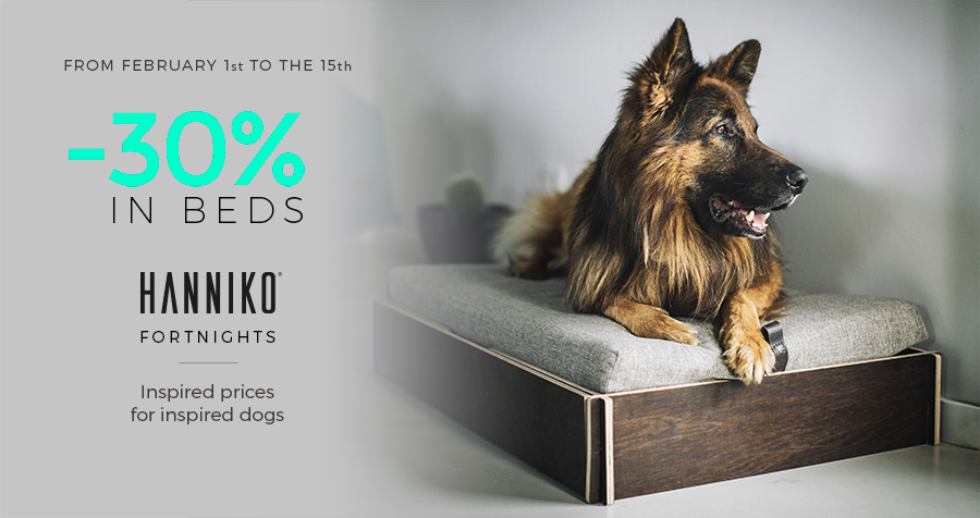 Dog resting in HANNIKO bed