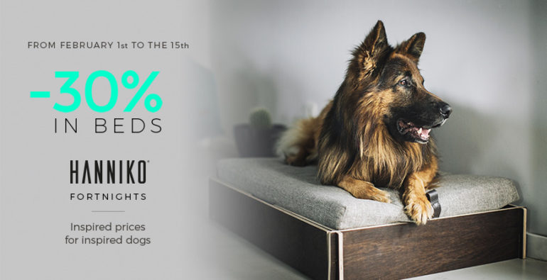 Hanniko fortnight promotions