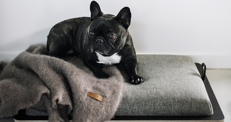 Cama HANNIKO Aaren, versátil