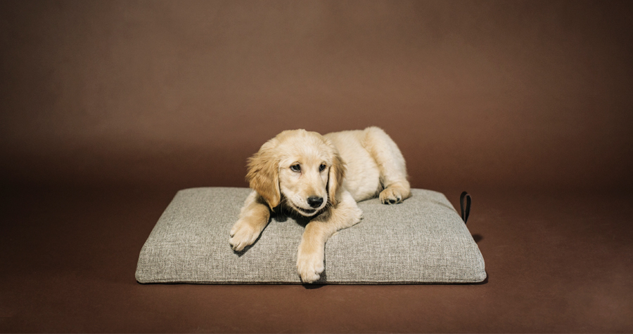 Cama Norell HANNIKO, sencilla