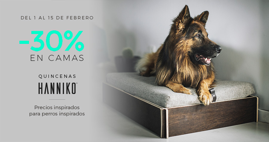 Perro descansando en cama HANNIKO