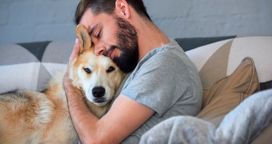 Hanniko descanso perro