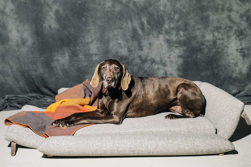 Kira tumbada en la cama textil Bjorn de HANNIKO