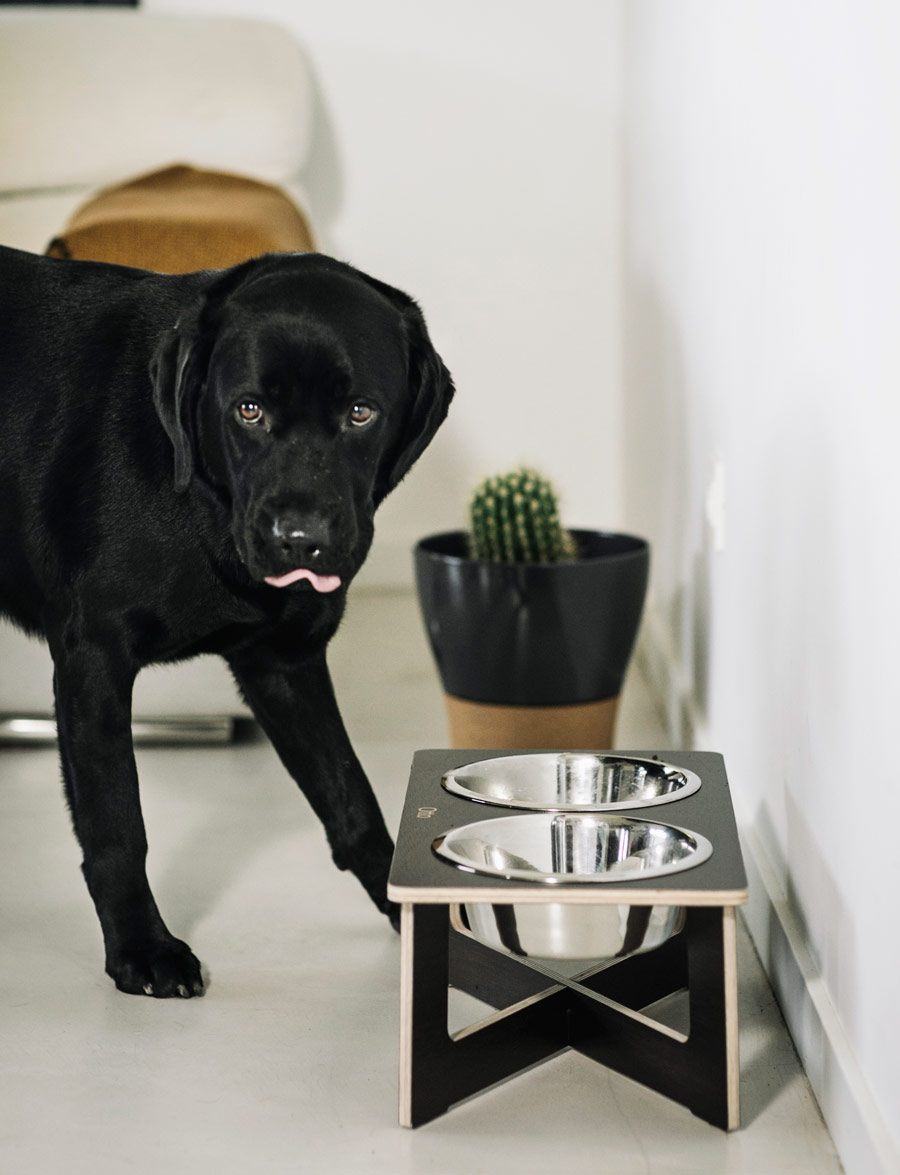 Otto y el comedero Dyre de Hanniko