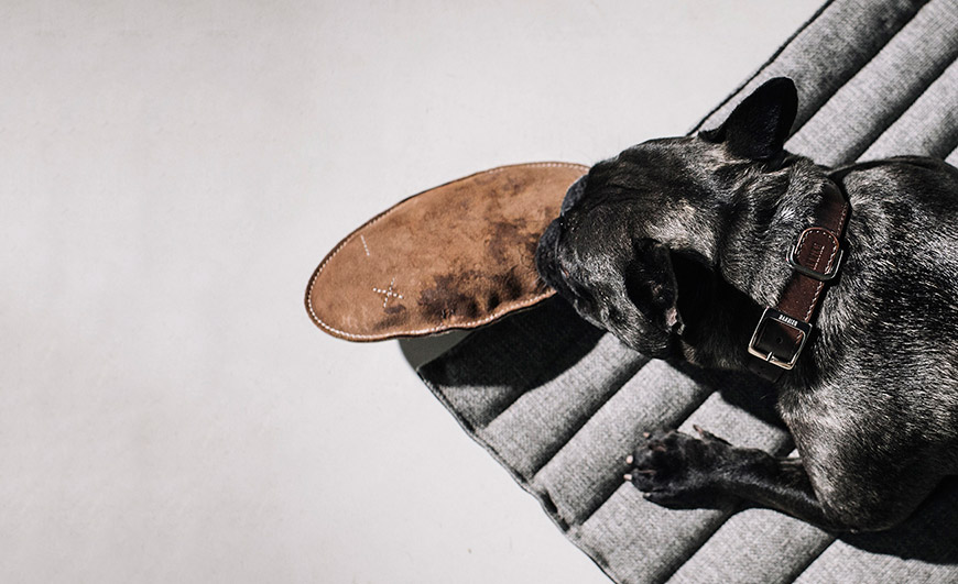 Spille juguete para perros de HANNIKO