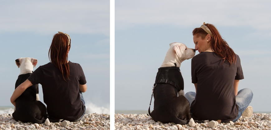 Reflexiona antes de empezar con la educación de tu perro