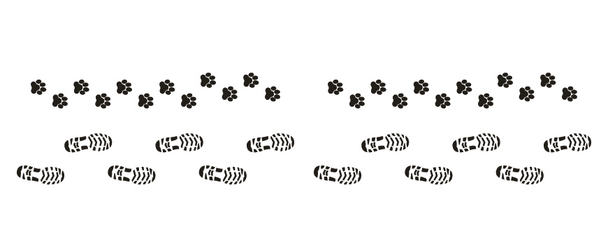 Educar a tu perro paso a paso