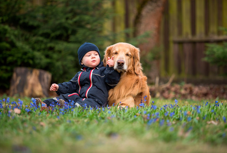 Perro y bebé entendiéndose
