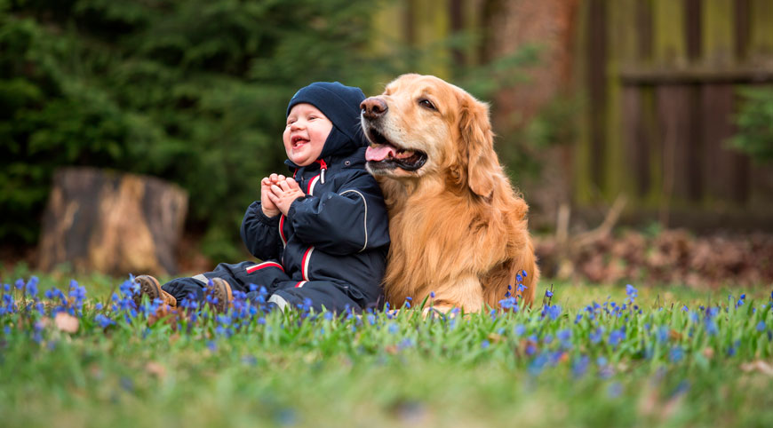 Perro y bebé dándose amor