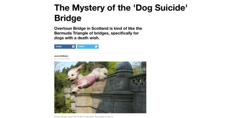 Dog suicide bridge in Scotland