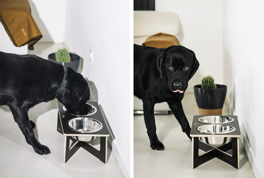 Bebedero y comedero Dyre