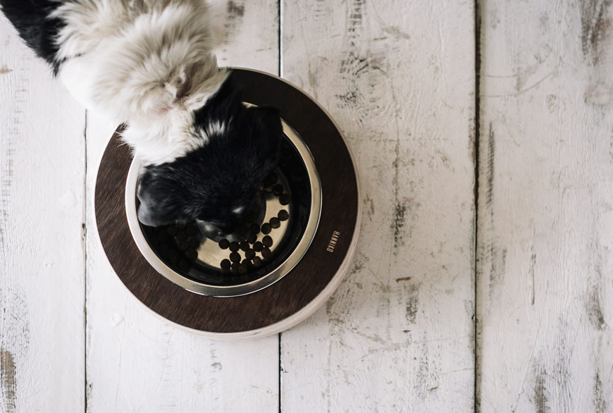 Bebedero y comedero Havard