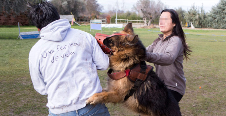 Pepo Project. Dogs that protect abused women.