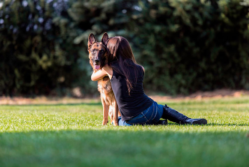 Perro protector del proyecto Pepo