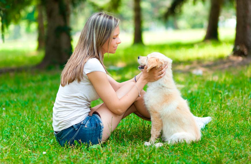 Los perros nos hacen más responsables
