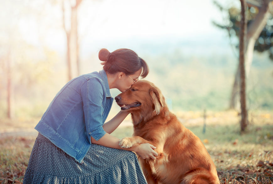 La complicidad entre perro y humano
