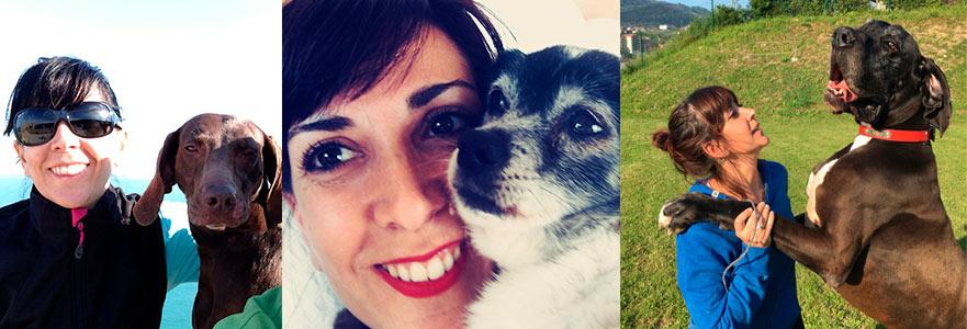 Los embajadores de la casa Hanniko