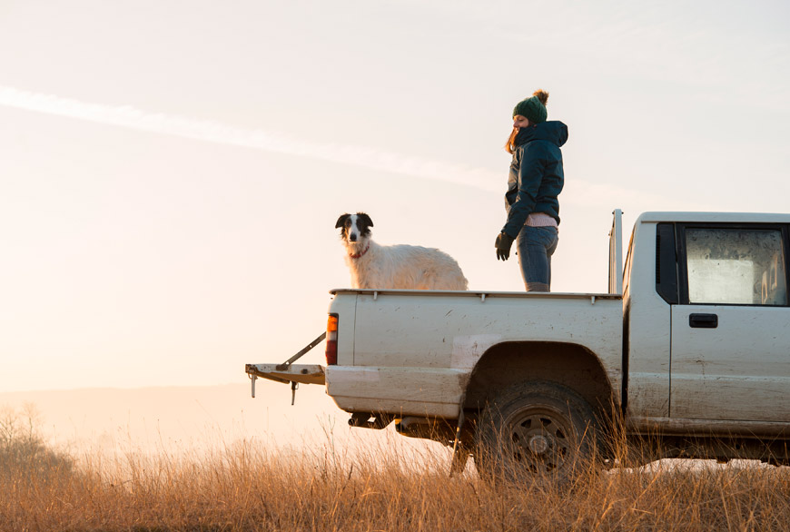Los perros nos hacen más fuertes y saludables