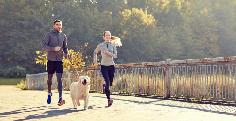 Tener un perro te hace más feliz