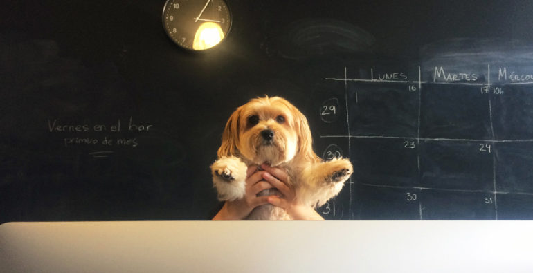 Beneficios de llevar al perro a la oficina