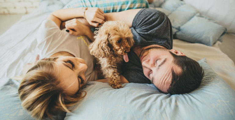 Is good to sleep with your dog and also without your dog