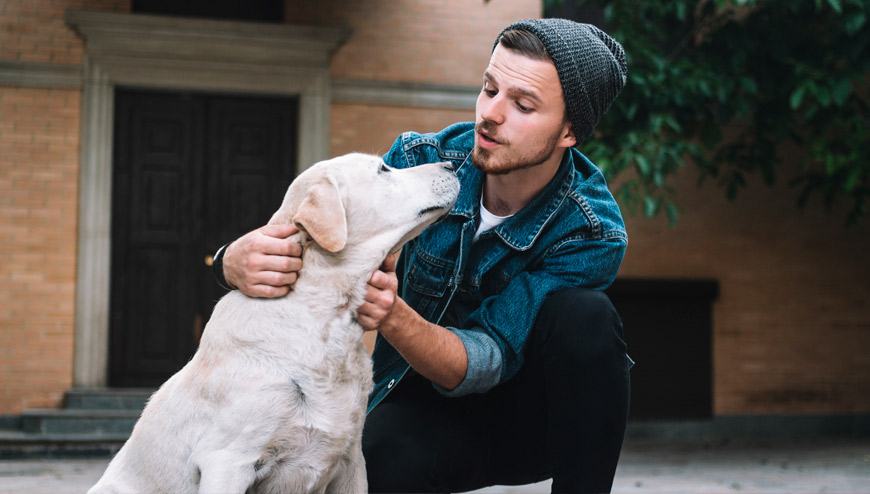 Comunicarse con los perros como si fueran bebes