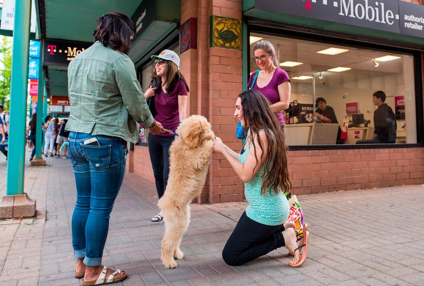 Hablando a perro en la calle como a un bebe