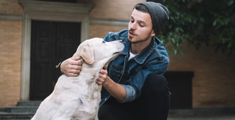 Communication with dogs