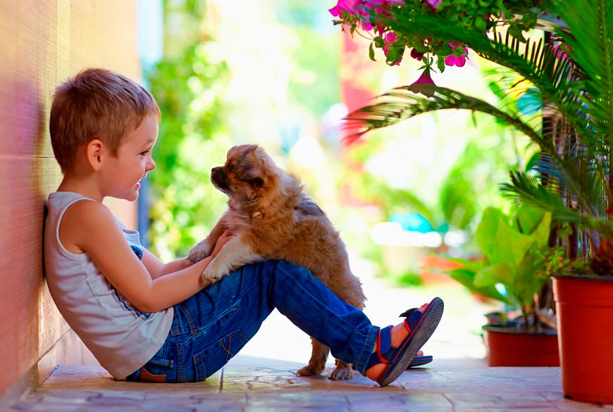Hablar al perro como a un bebe de forma intuitiva