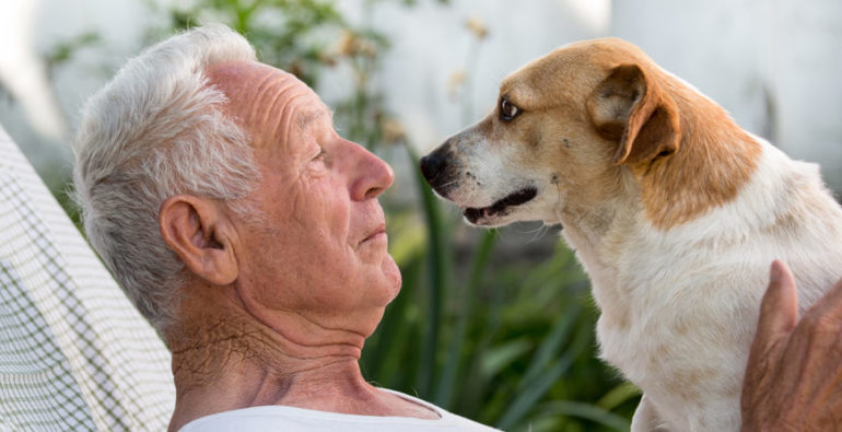 Un año de perro no equivale a siete años humanos
