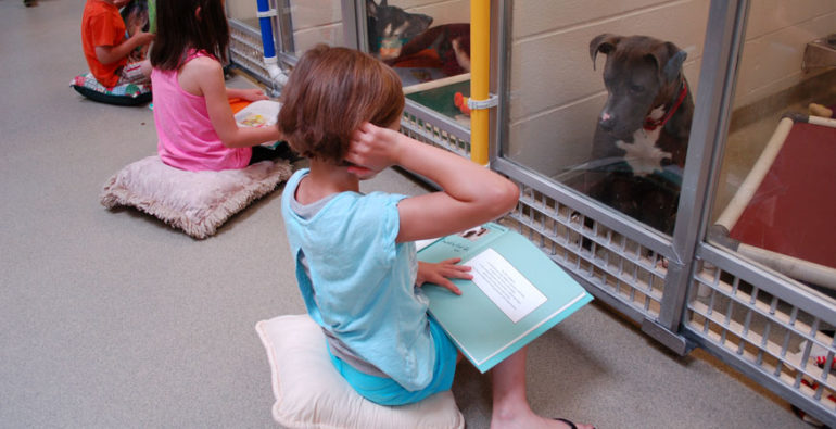 La lectura de cuentos por parte de niños a perros abandonados