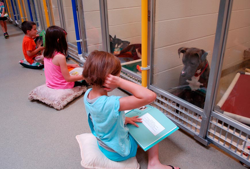 Lectura de niños a perros impulsada por el Humane society of Missouri